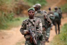 The DRC military is taking part in a joint operation with Ugandan forces against the ISIL-linked Allied Democratic Forces (ADF)
