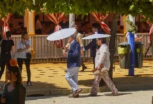 Umbrellas to ward off the heat in Seville this week