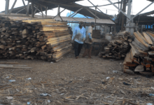 Asokore Mampong wood Market,Kumasi