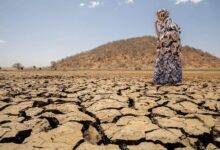 • The drought situation in the Horn of Africa.