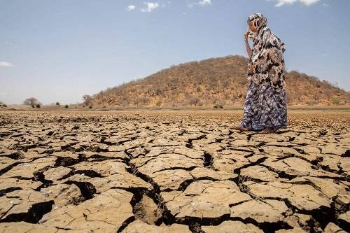 • The drought situation in the Horn of Africa.
