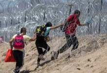 About 10,000 migrants were crossing the border every day ahead of Title 42's expiry