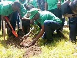 • Mr Alban Bagbin planting tree to mark the Green Ghana day