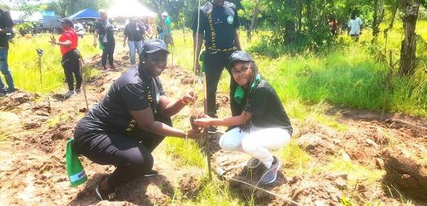 Mrs Owusu-Ankomah(left) and Madam Muzito planting a tree during the exercise