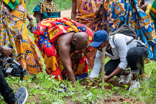 • The team planting a tree