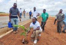 • Dr Ayiku planting a tree