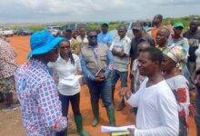 Dr Asante interacting with some of the farmers during the demonstration field trip