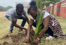 Ms Fynn (right) planting a tree and assisted by Mr Richard Owiredu