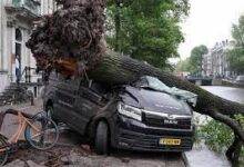 Fallen trees lie on cars after a storm hit Amsterdam, Netherlands, yesterday