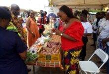 Mrs Kamassah briefing the dignitaries on vegetables she displayed
