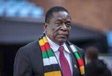 • The opposition has accused Mr Mnangagwa of nepotism