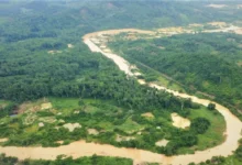 River body affected by galamsey