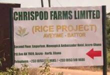 • Chrispod Farms Limited