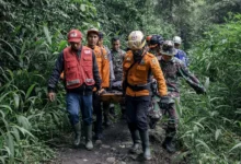 • Rescue workers coordinated to evacuate survivors from the area