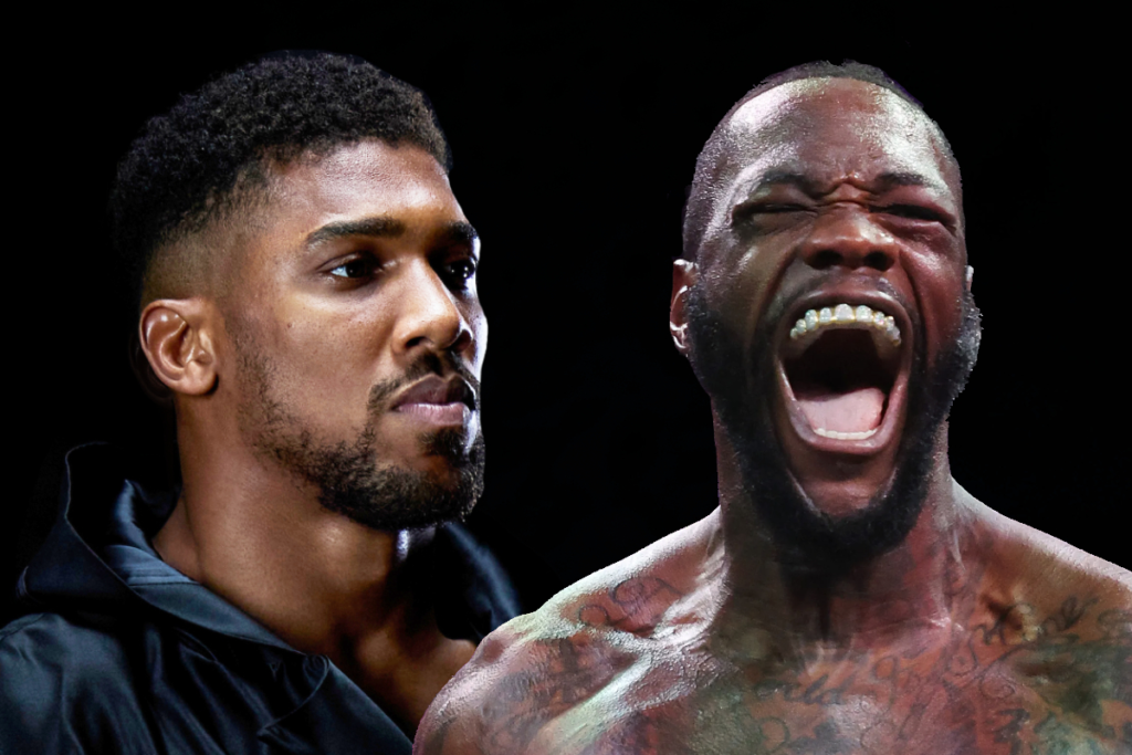 • Anthony Joshua (left) and Deontay Wilder
