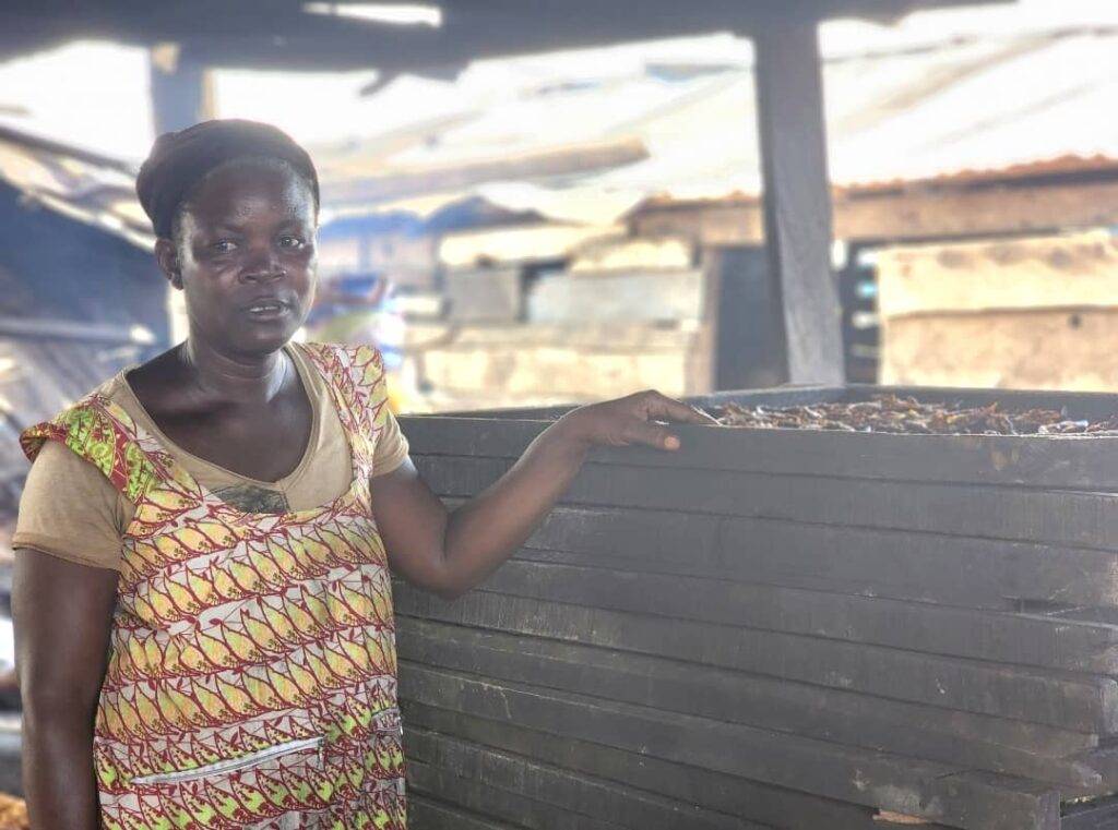 Sacrificing vision for income: women pay a high price for smoking fish