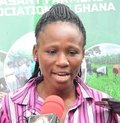 Dr Joan Akandi Atulley,Senior Manager ,Ghana Irrigation Development Authority