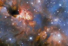 This image from the NASA/ESA Hubble Space Telescope is a relatively close star-forming region known as IRAS 16562-3959. ESA/Hubble & NASA, R. Fedriani, J. Tan