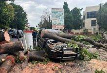 A tree damaging a vehicle after the rains